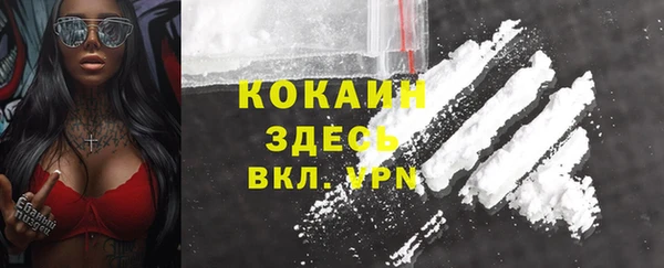 дмт Белокуриха