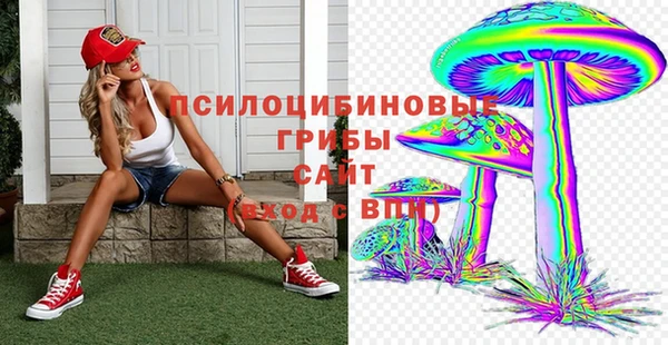 дмт Белокуриха