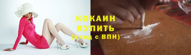 ГАЛЛЮЦИНОГЕННЫЕ ГРИБЫ Балахна
