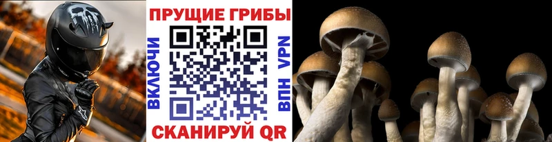 Галлюциногенные грибы MAGIC MUSHROOMS  Купить где  Белая Калитва 